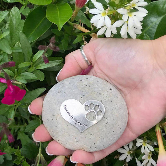 person holding forever in my heart rock in garden
