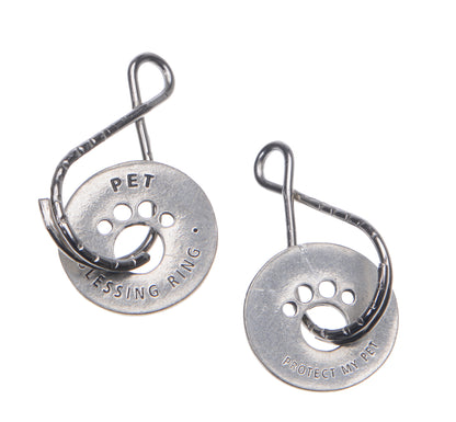 Blessing Ring Key ring