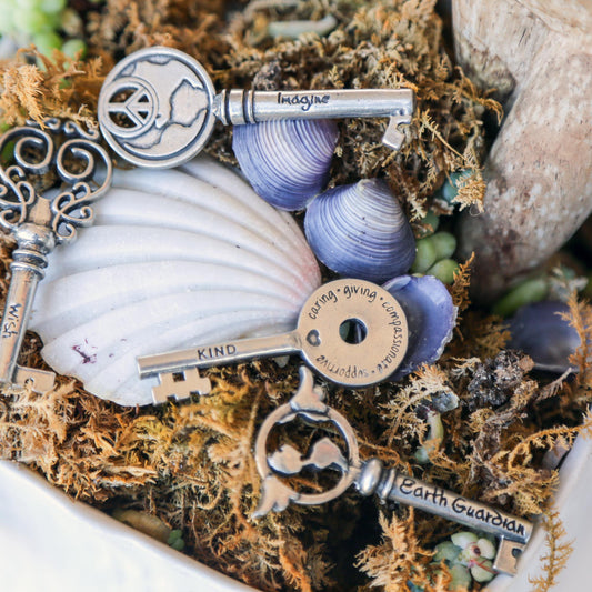 Sea shells with keys in plant pot